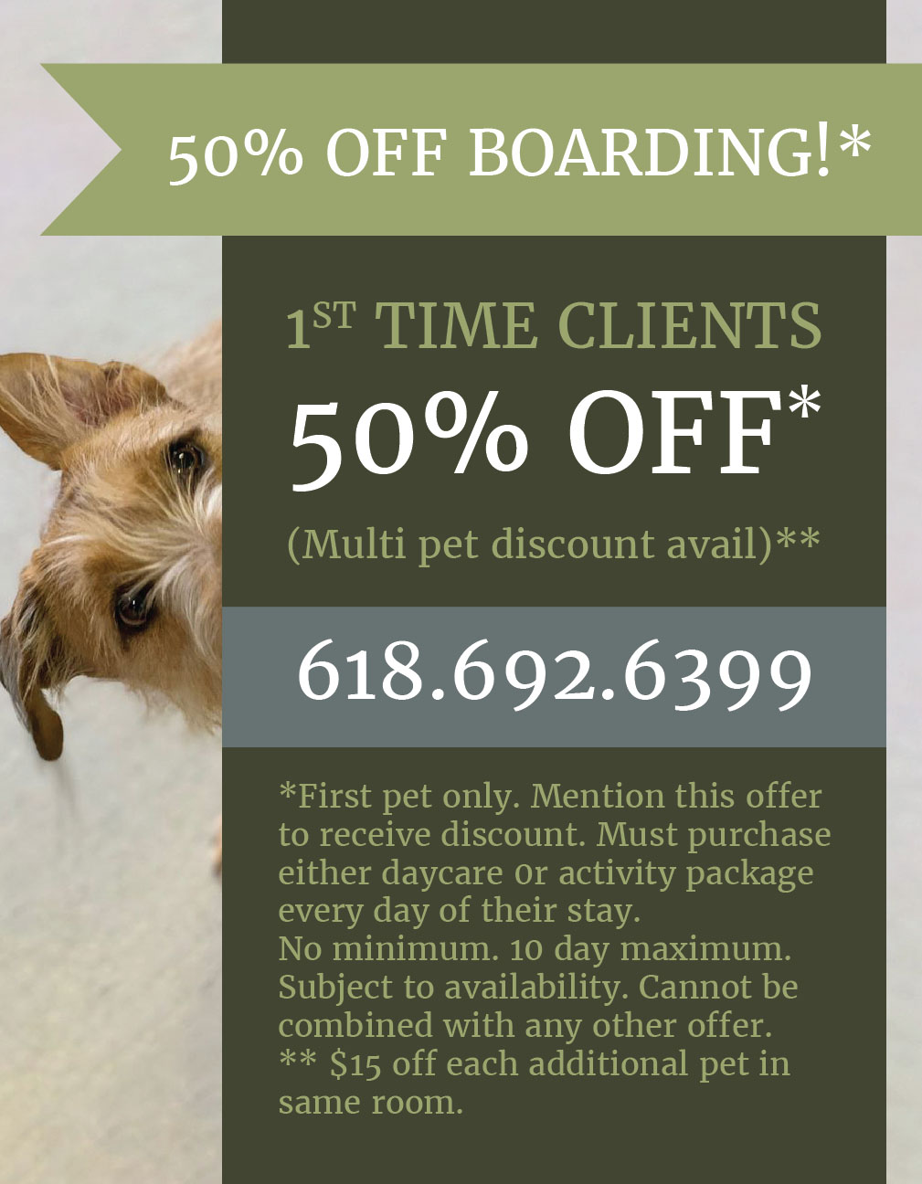 Special Boarding Offer from LaBest Pet Resort and Spa