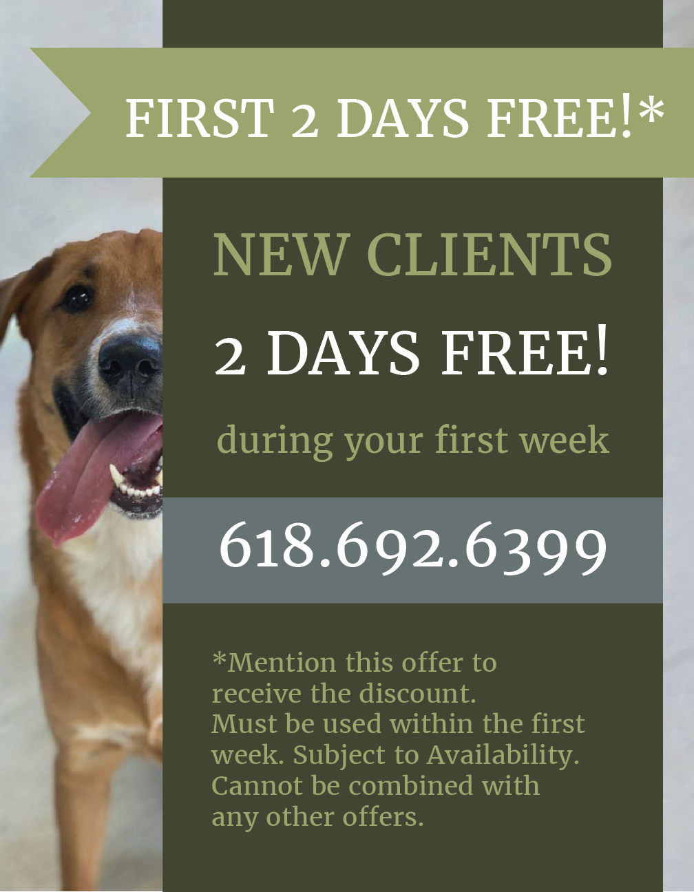 Special Offer from LaBest Pet Resort and Spa